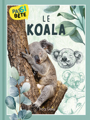 cover image of Pas si bête Le KOALA